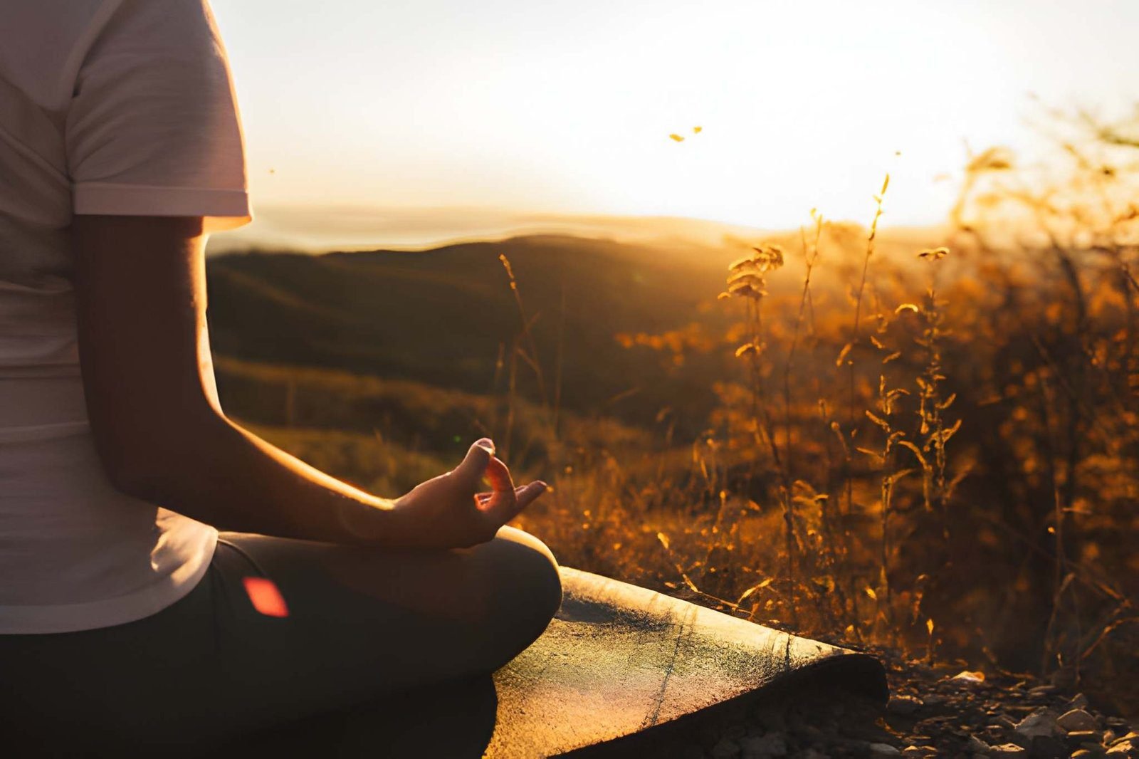 Reflective wellness activity in a natural environment